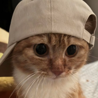 Samou